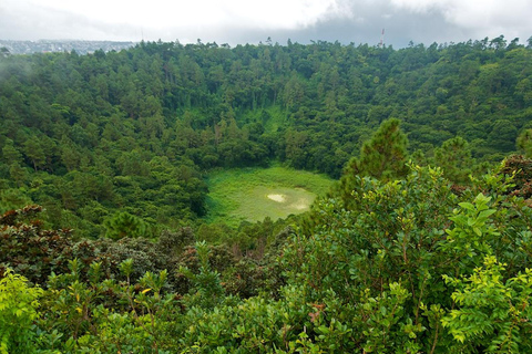 L'enchantement du Sud : Excursion d'une journée comprenant le parc Casela et le déjeuner