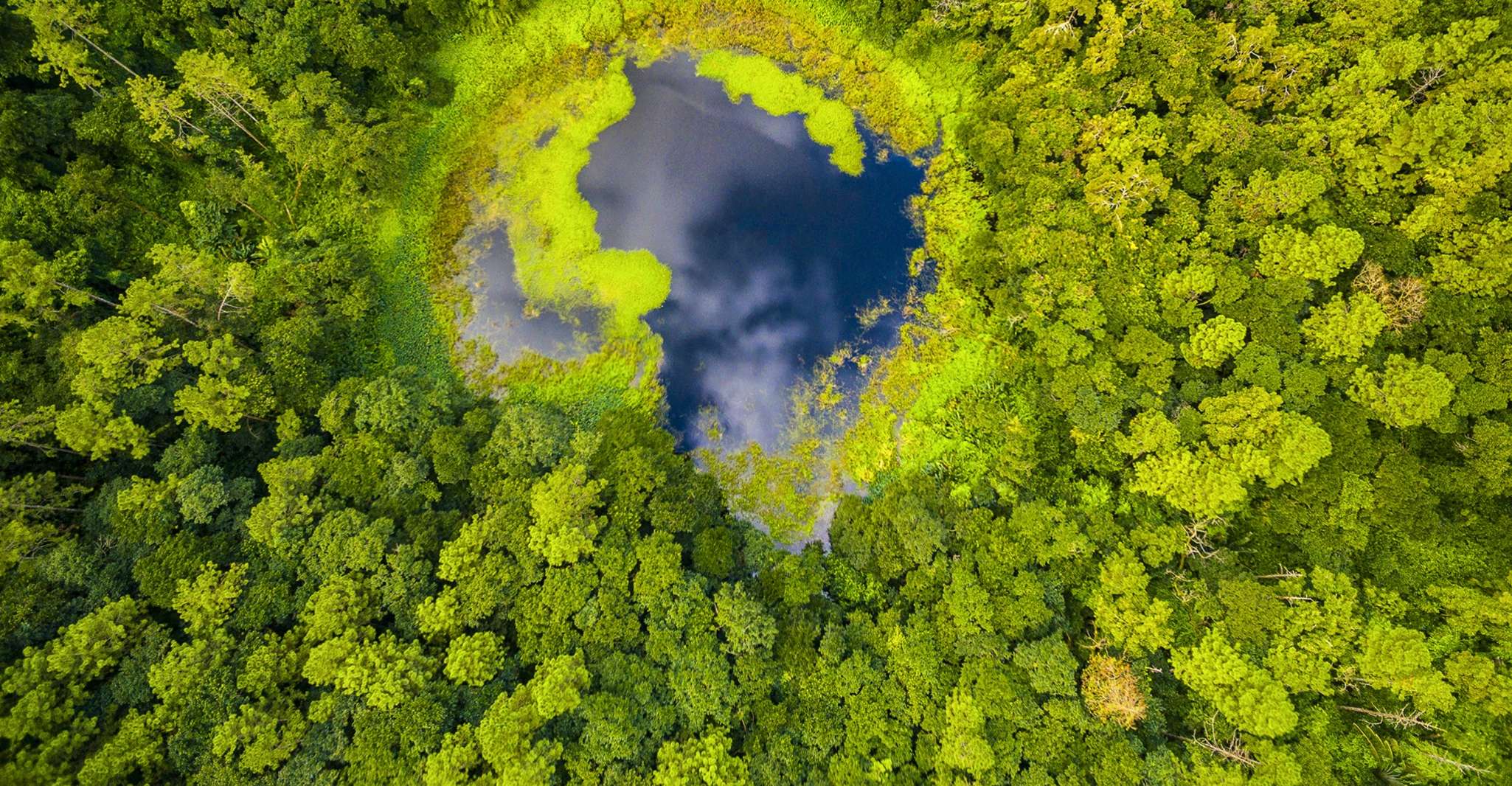 Mauritius, Guided Trip to the Southwest with Safari Tour - Hizvo