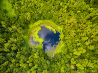 Mauritius, geführte Reise in den Südwesten mit Safari-Tour - Hizvo