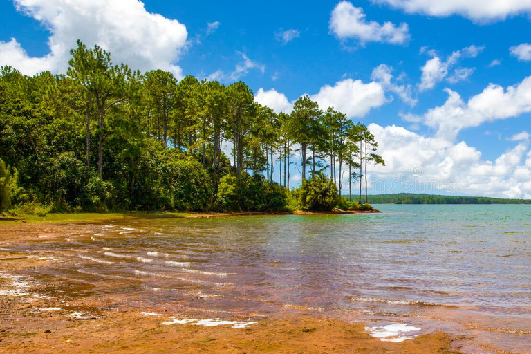 L'enchantement du Sud : Excursion d'une journée comprenant le parc Casela et le déjeuner