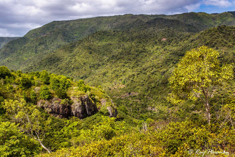 L'enchantement du Sud : Excursion d'une journée comprenant le parc Casela et le déjeuner