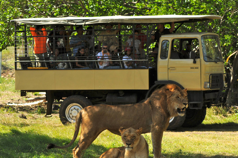 Betoverend Zuiden: dagtour inclusief Casela Park en lunch