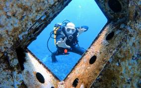 Aqaba: Private Red Sea Diving for Beginner or Experienced