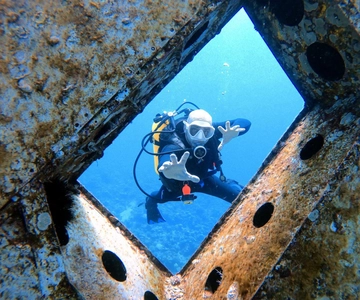 Aqaba: immersioni private nel Mar Rosso per principianti o esperti