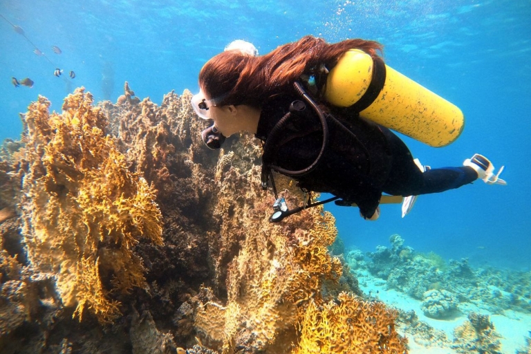Aqaba: Private Diving Tour in Red Sea