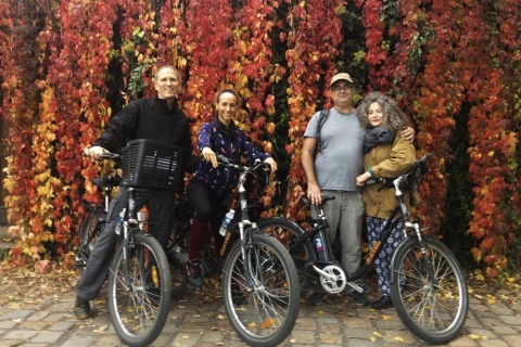 Visita guiada privada en bicicleta eléctrica histórica alternativa
