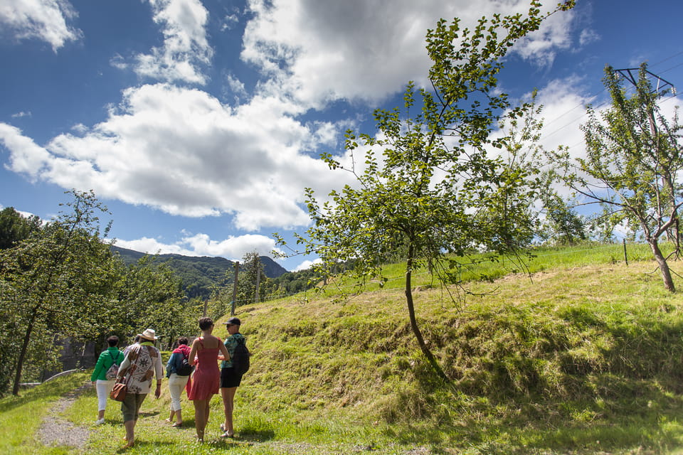 Hikers walking through an apple orchard on a grassy hillside under a blue sky with large white clouds
