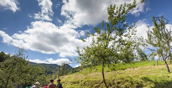 San Sebastián: Traditionelle Apfelweinhaus-Tour mit Mittagessen
