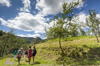 Tradizionale Cider House Tour Trasporti inclusi - Hizvo
