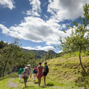 San Sebastián: Traditional Cider House Tour with Lunch