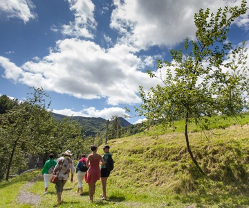 San Sebastián: Ruta de las Sidrerías Tradicionales con Comida