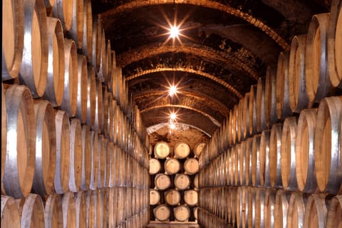 Madrid: Ribera del Duero Wine Route and Segovia Guided Tour