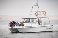 Mola Cruise with Beach Braai - Housity