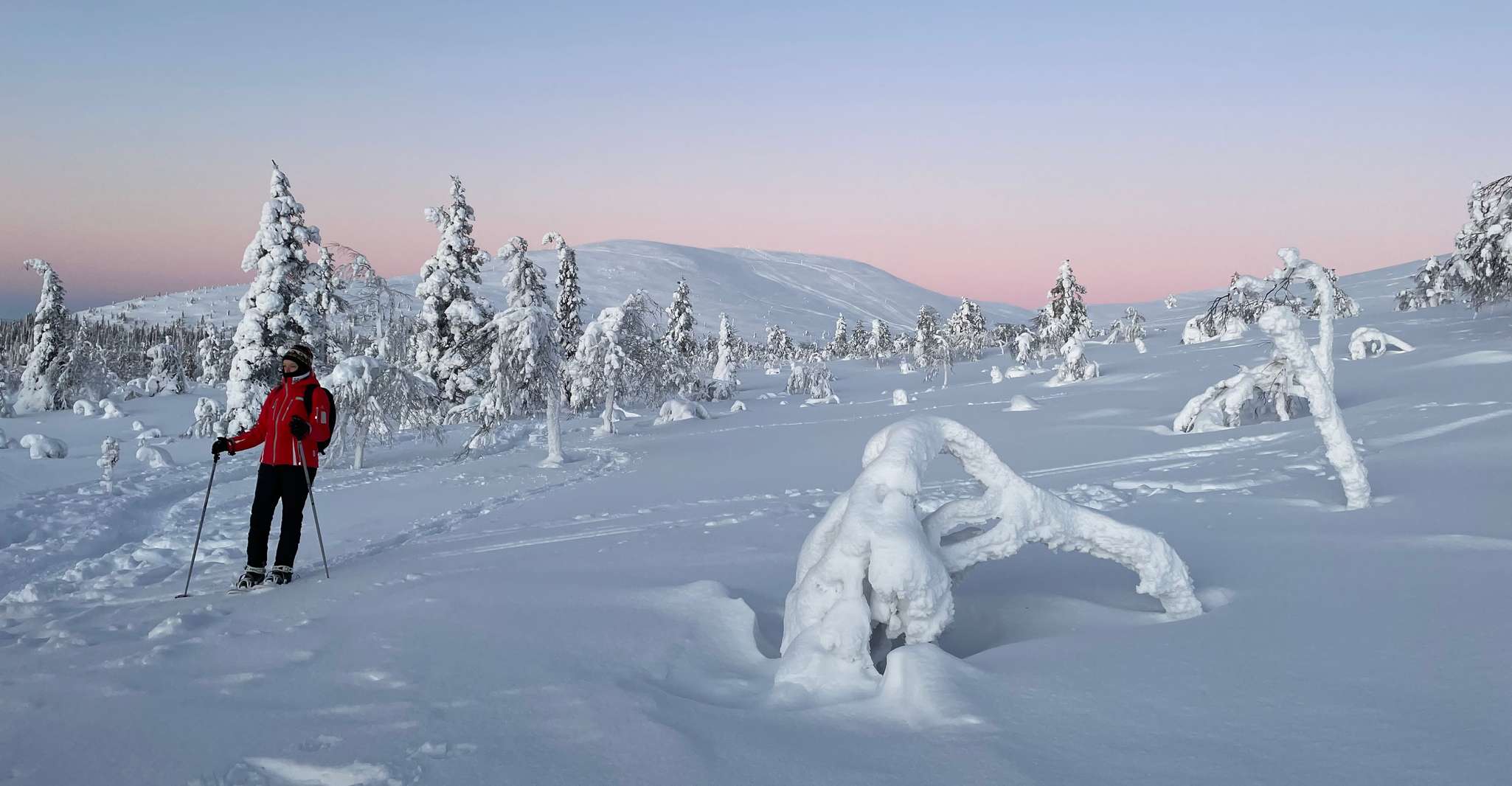 Levi, Pallas-Yllästunturi National Park Snowshoeing Tour - Housity