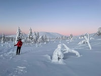 Levi, Pallas-Yllästunturi National Park Snowshoeing Tour - Housity