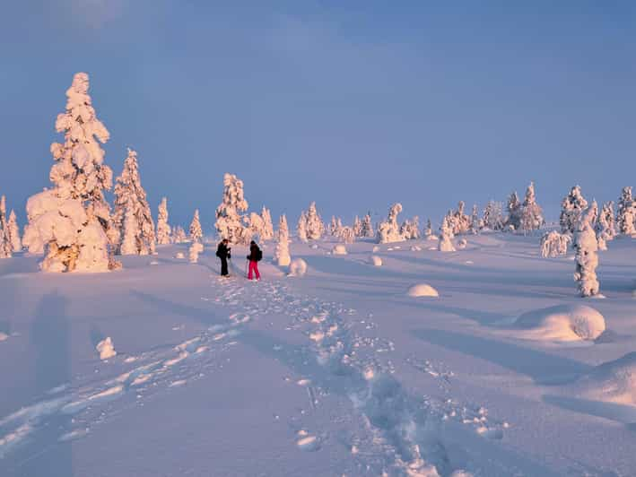 Levi: Pallas-Yllästunturi National Park Snowshoeing Tour | GetYourGuide