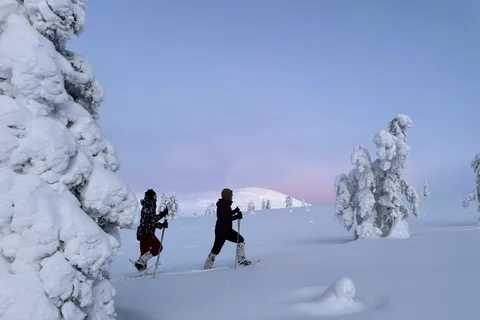 Levi: Pallas-Yllästunturi National Park Snowshoeing Tour