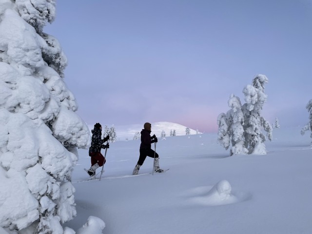 Visit Levi Pallas-Yllästunturi National Park Snowshoeing Tour in Kittilä, Finland