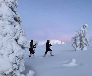 Levi: Pallas-Yllästunturi National Park Snowshoeing Tour