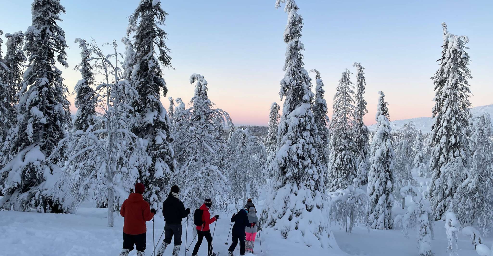 Levi, Pallas-Yllästunturi National Park Snowshoeing Tour - Housity