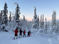 Levi, Pallas-Yllästunturi National Park Snowshoeing Tour - Housity