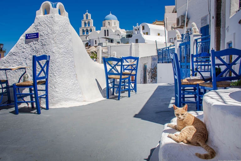 Santorini in One Day, Highlights & Sunset Private Tour