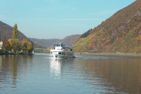 From Alken: Moselle Valley Sightseeing Cruise
