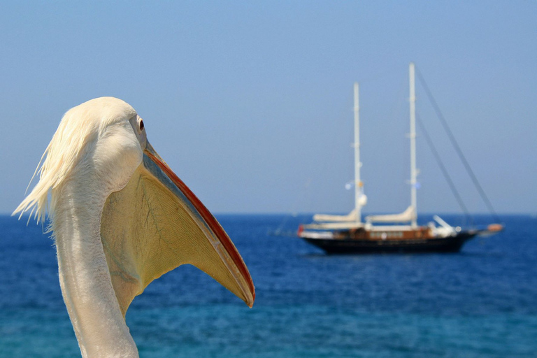 Vanuit Athene: 2 dagen Santorini en Mykonos