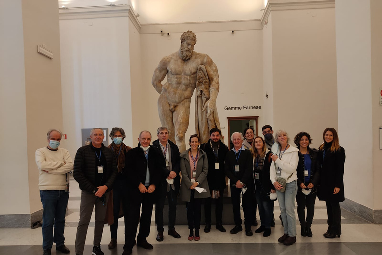 Visite guidée privée du musée national d'archéologie de Naples