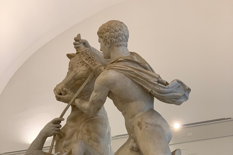 Museo archeologico nazionale di Napoli: tour privato guidato