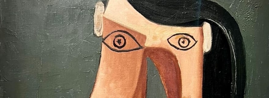 Paris : Billet pour le musée Picasso et croisière facultative sur la Seine