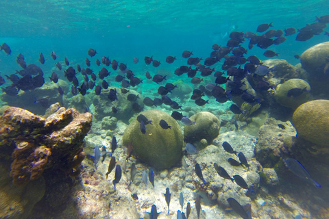 St Thomas & St John: Snorkeling and Beaches Boat Tour Half day