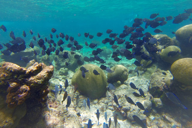 St Thomas & St John: Snorkeling and Beaches Boat Tour Half day