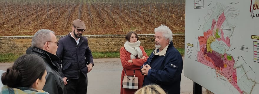 Visite privée des vignobles de la Côte de Nuits et dégustation de vin