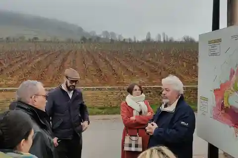 Tour particular de Côte de Nuits com degustação de vinhos e vinícolas locais