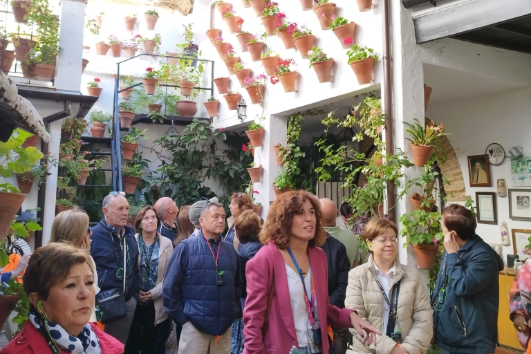 Córdoba: Cultural City Highlights Walking Tour
