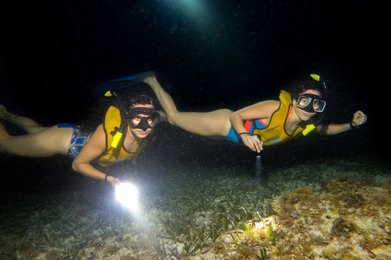 Cancún: Excursión de snorkel a la luz de la luna con traslado