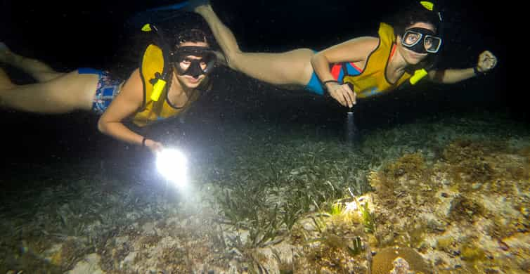 Cancun Moonlight Snorkeling Tour With Transfer Getyourguide