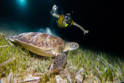 Cancún: Excursión de snorkel a la luz de la luna con traslado