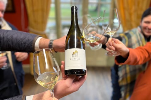 From Beaune: Burgundy 10 Wines Grand Cru Tasting Day Trip