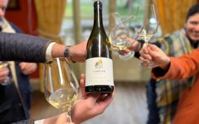 From Beaune: Burgundy 10 Wines Grand Cru Tasting Day Trip