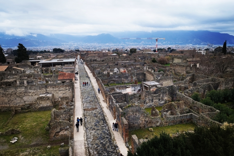 Pompeje: Prywatna wycieczka z lokalnym przewodnikiem Michele Arpa