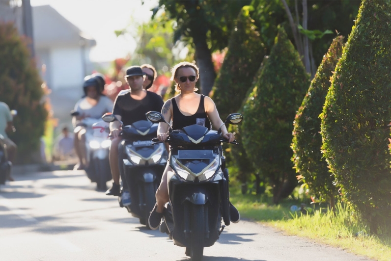 Yogyakarta: Karta motocykla z kierowcą lub bezZ Kierowcą