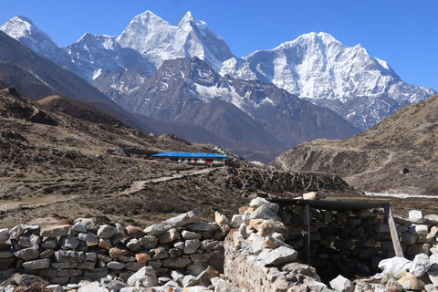 Trekking del Campo Base dell&#039;Everest di 12 giorni - Pensione completa - Pasti privatiOpzione standard