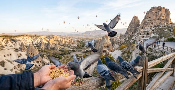 Cappadocia: Express Tour with Pottery Workshop