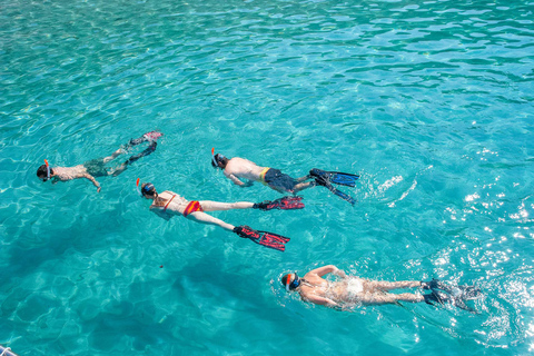 Santa Ponsa: excursion de plongée en apnée de 3 heures dans une réserve marineAvec point de rencontre