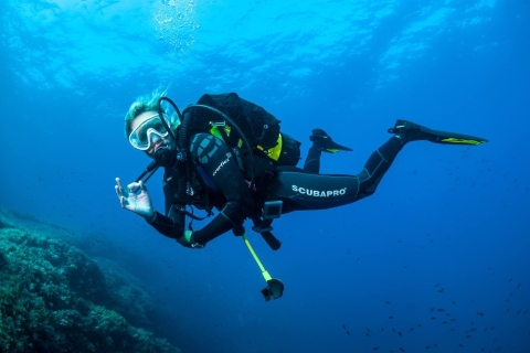 Santa Ponsa: Try Scuba Diving in a Marine Reserve Tour with Meeting Point