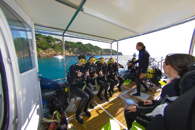 Santa Ponsa: Spróbuj nurkowania w rezerwacie morskimWycieczka z odbiorem z hotelu