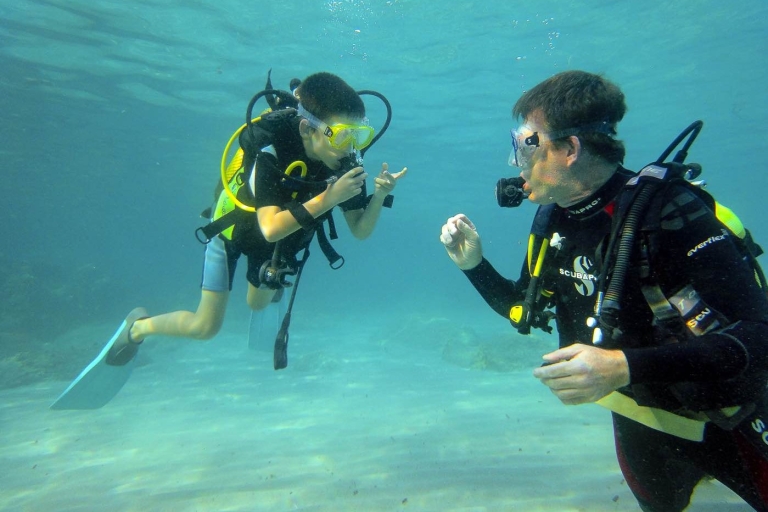 Santa Ponsa : essayez la plongée sous-marine dans une réserve marineVisite avec point de rencontre