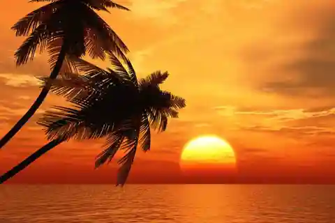 Key West: Private Tiki Boat Sunset Cruise